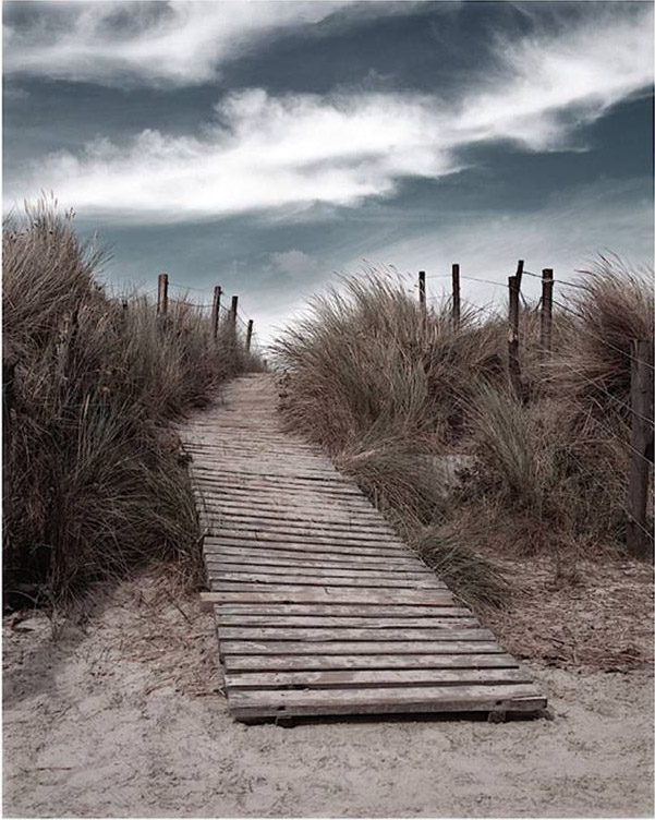 Unknown Artist The Pathway